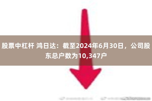 股票中杠杆 鸿日达：截至2024年6月30日，公司股东总户数为10,347户