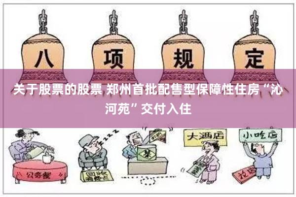 关于股票的股票 郑州首批配售型保障性住房“沁河苑”交付入住