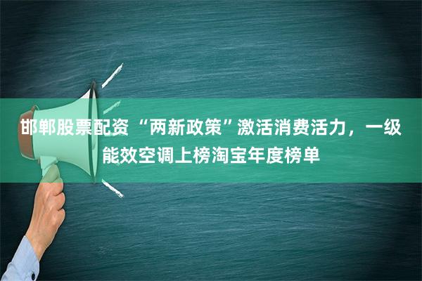 邯郸股票配资 “两新政策”激活消费活力，一级能效空调上榜淘宝年度榜单