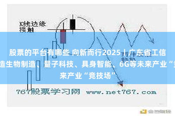 股票的平台有哪些 向新而行2025丨广东省工信厅：打造生物制造、量子科技、具身智能、6G等未来产业“竞技场”